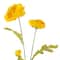 18 Pack: Yellow Ranunculus Spray by Ashland®